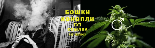 каннабис Дмитров