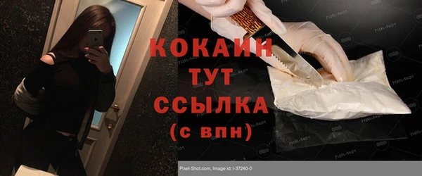 дмт Дмитриев