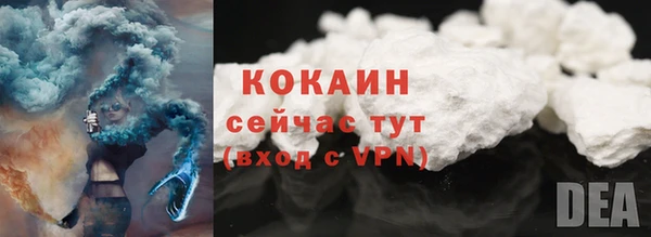 дмт Дмитриев