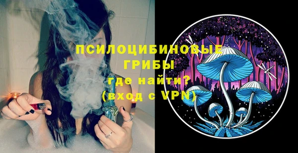 сатива Медвежьегорск
