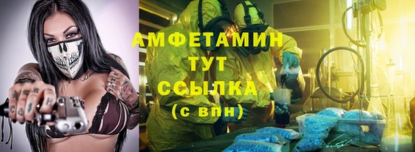 дмт Дмитриев